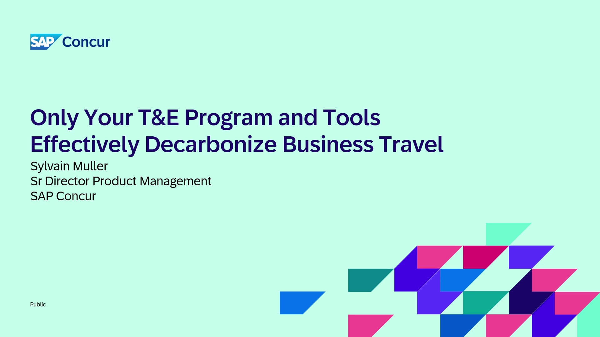 Only Your T&E Program and Tools Effectively Decarbonize Business Travel