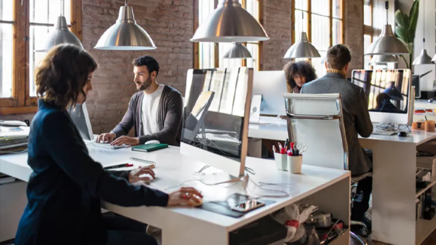 group of people in office
