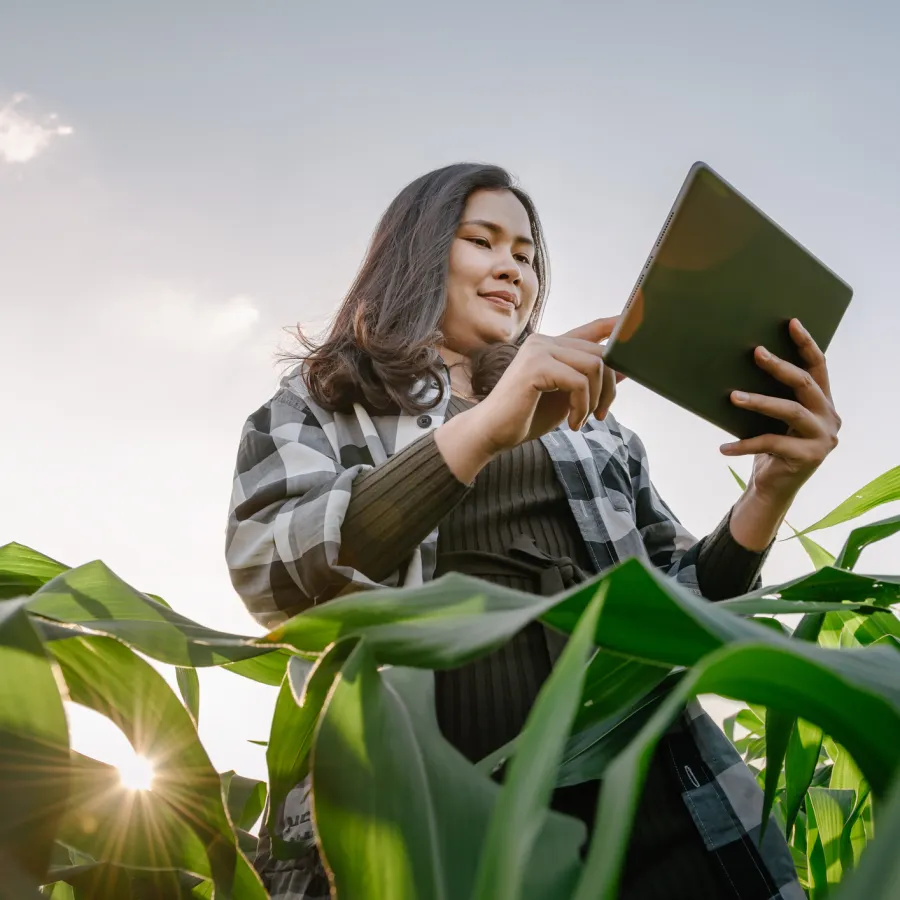 Simpler Sustainability: Building an Eco-Strategy into Your Travel Policy