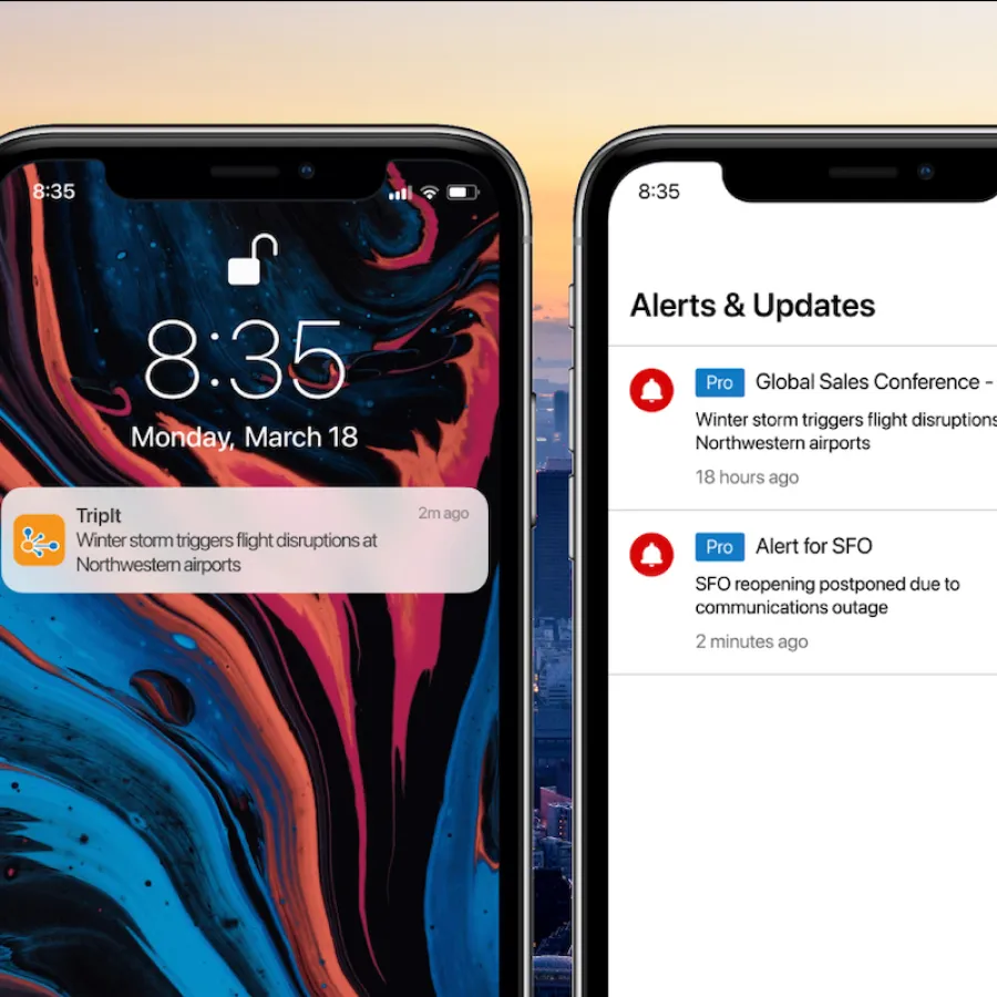 Get Ahead of Travel Disruptions with TripIt Pro Risk Alerts
