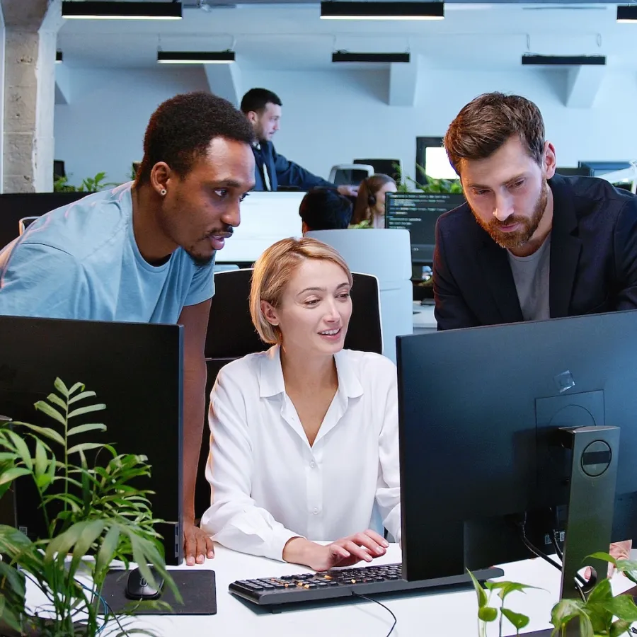 people working together
