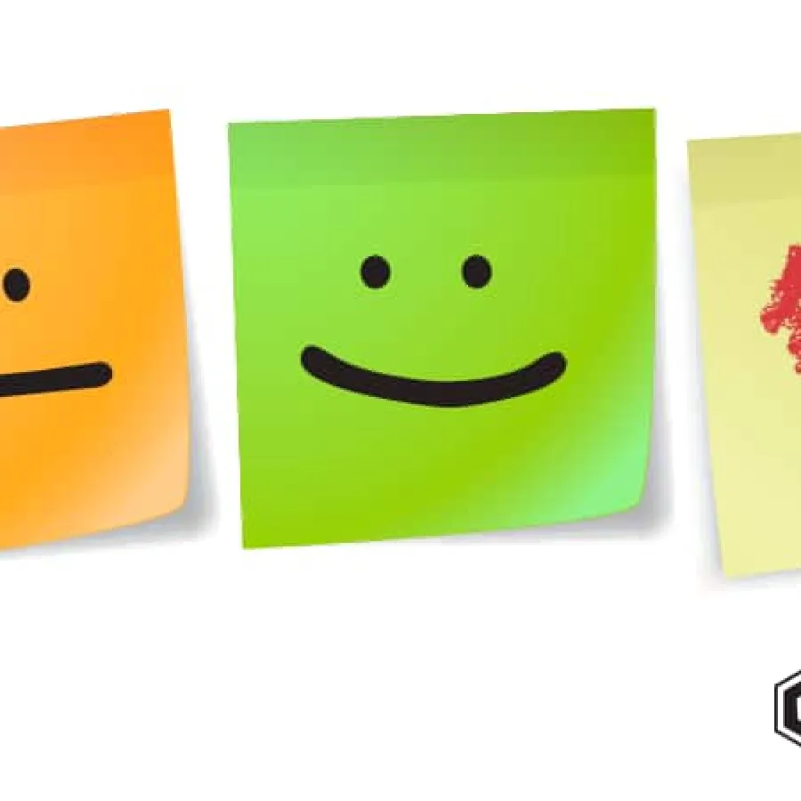 What is sentiment analysis and how can machine learning help customers?