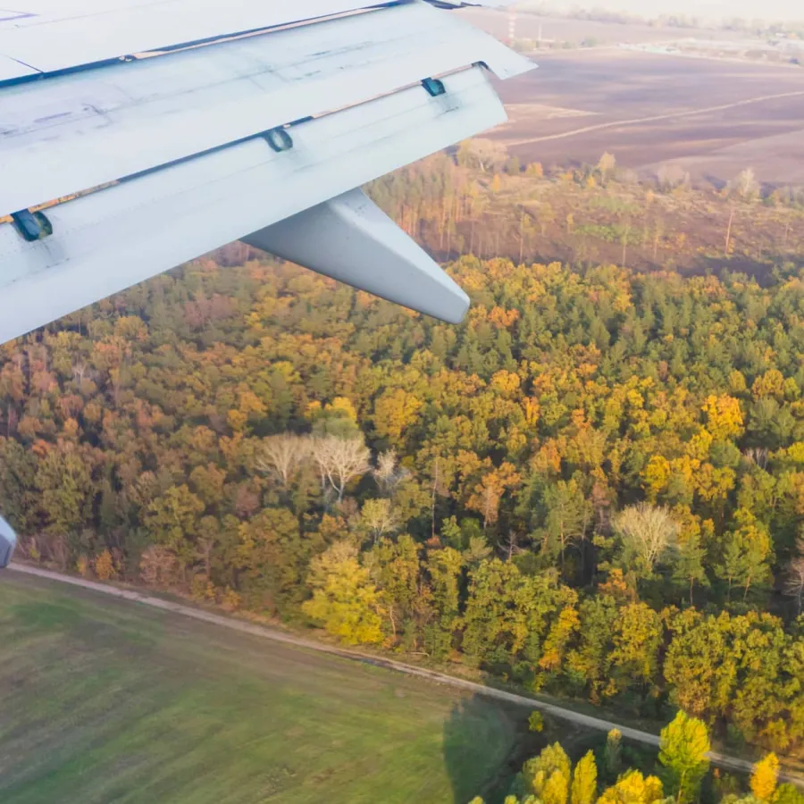 Applying Lessons from Greta Thunberg to Business Travel Emissions