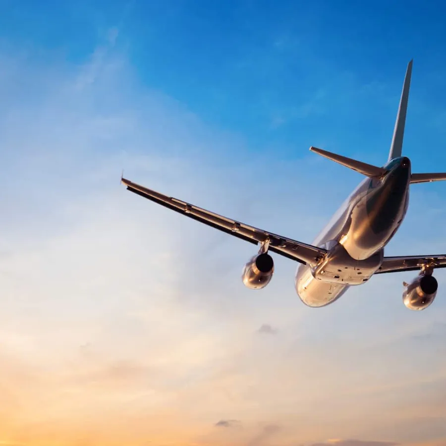 Going Beyond Automation: How T&E Management Drives Business Value